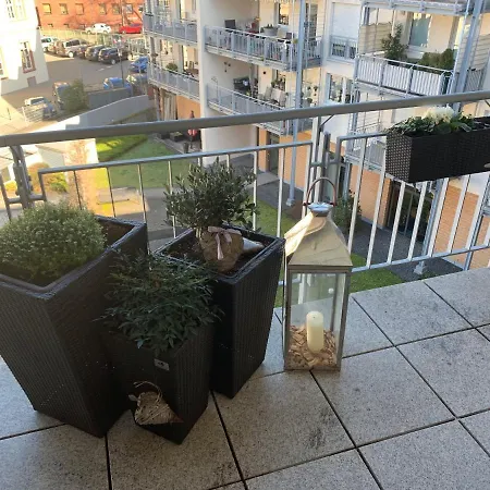 피보 도미질 암 돔 아파트