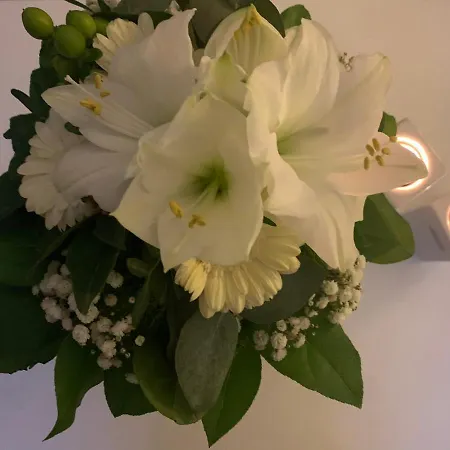 Appartamento Domizil Am Dom