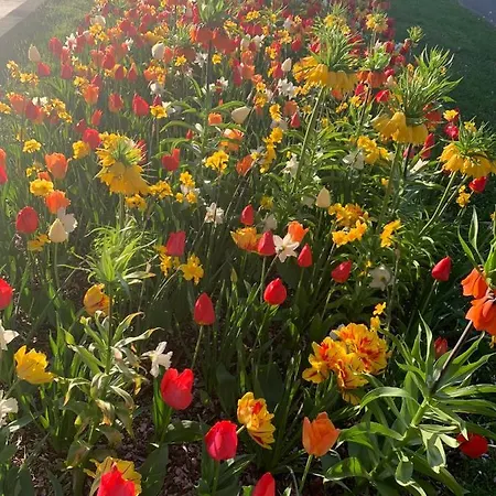 Apartmán Domizil Am Dom *