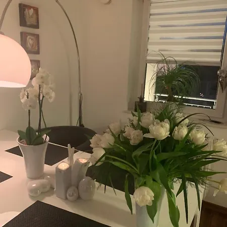 Domizil Am Dom Appartamento Treviri