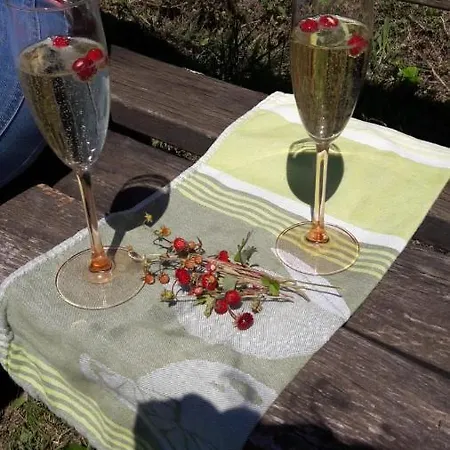 Apartmán Domizil Am Dom Trevír