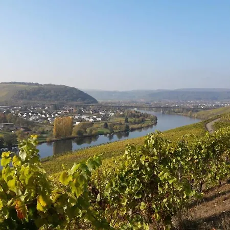 Domizil Am Dom Treviri