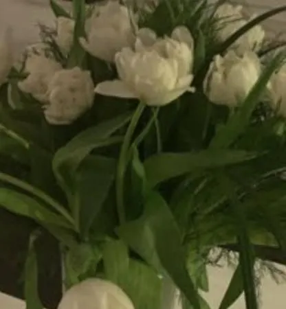 Apartmán Domizil Am Dom *