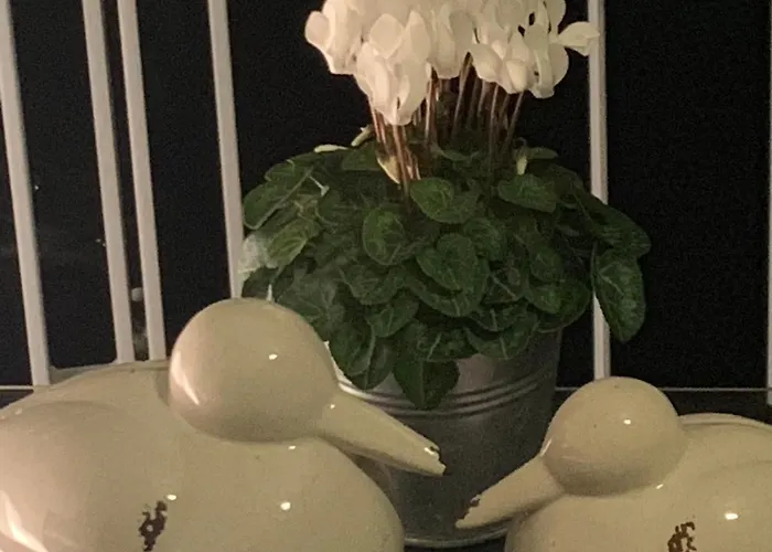 Lägenhet Domizil Am Dom Trier