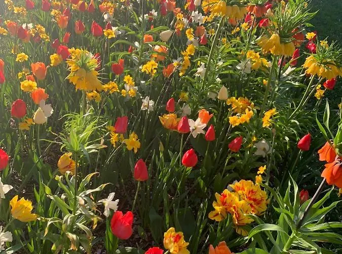 Appartamento Domizil Am Dom *