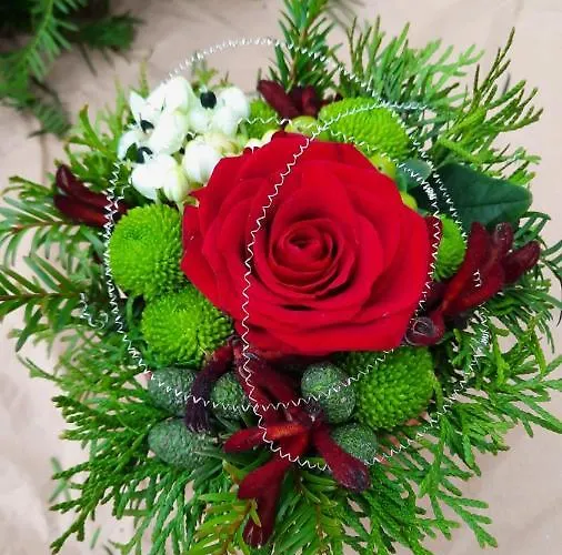 Domizil Am Dom Trèves