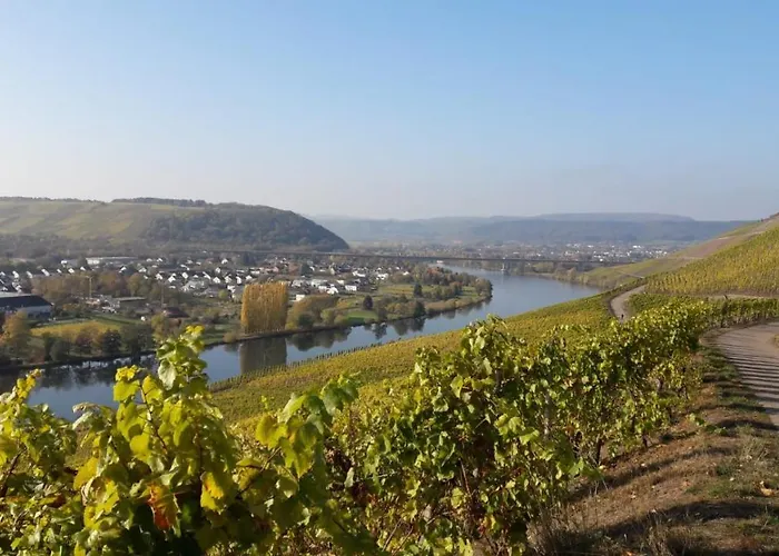 Domizil Am Dom Trèves