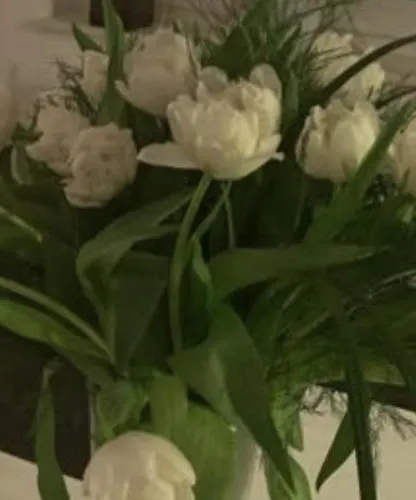 Appartement Domizil Am Dom *